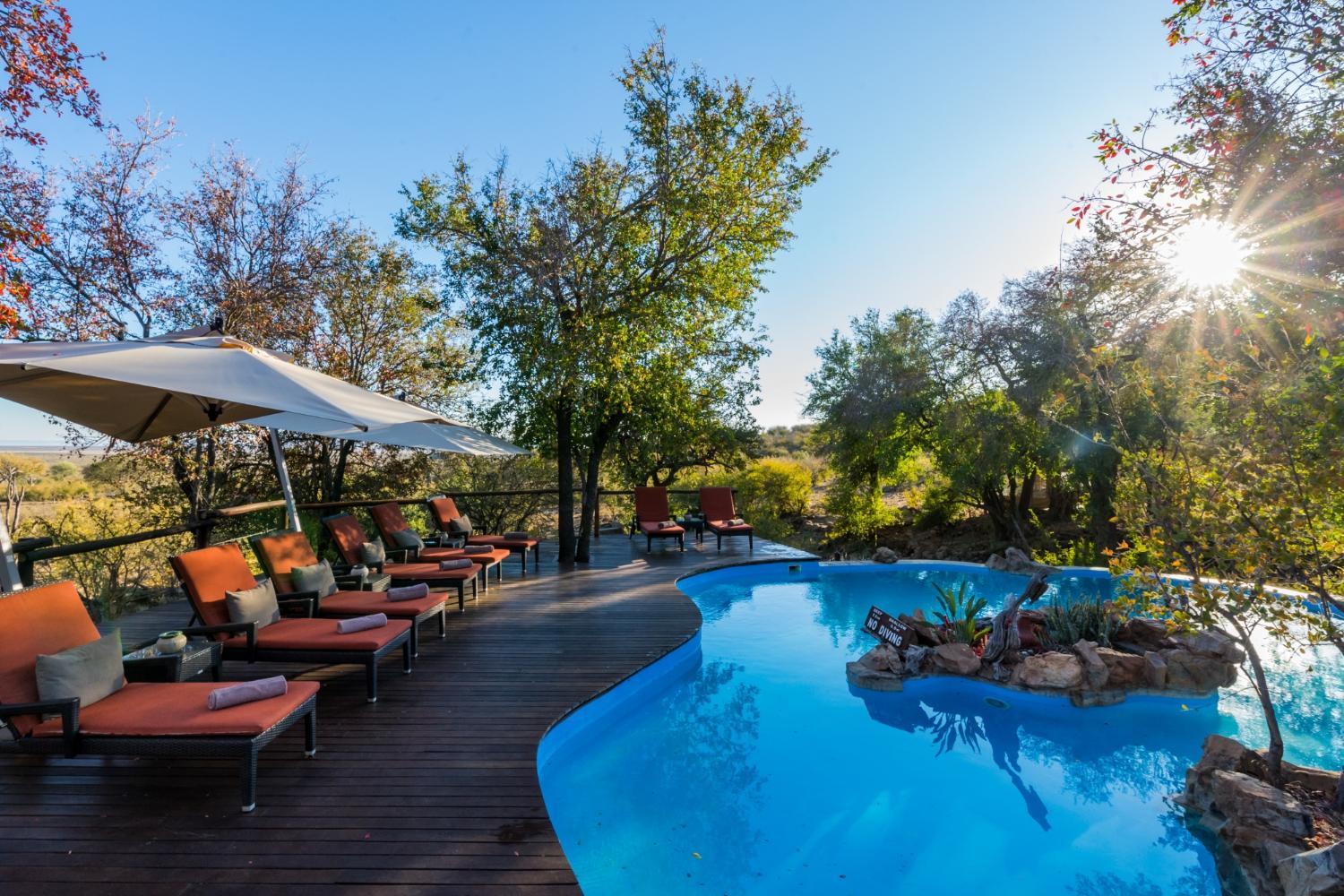 Hotel with all-inclusive - Impodimo Game Lodge