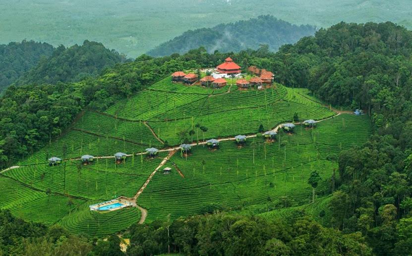 Hotel with all-inclusive - Wild Planet Jungle Resort
