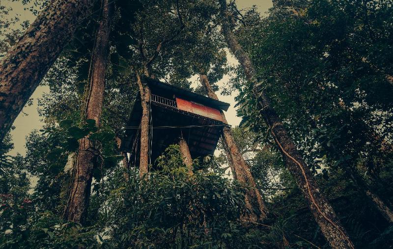 Hotel for Adults only - Ela Ecoland Nature Retreat